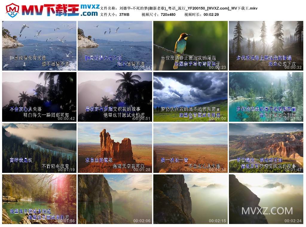 刘德华-不死的梦(翻新老歌)_粤语_流行_YF200150